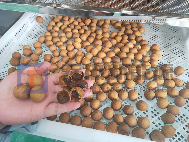 天杰新能源?；葜蔟堁酆娓蓹C(jī)開機(jī)大吉